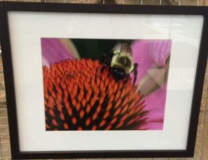 "Busy Bee" by Dee Ruza