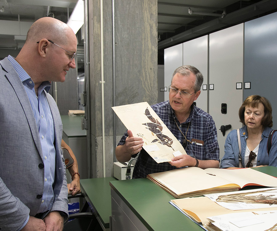 Robbin Moran showing a plant sample in the New York Botanical Garden's herbarium