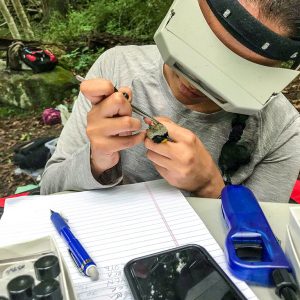 Medha Pandey checks a bird for ticks