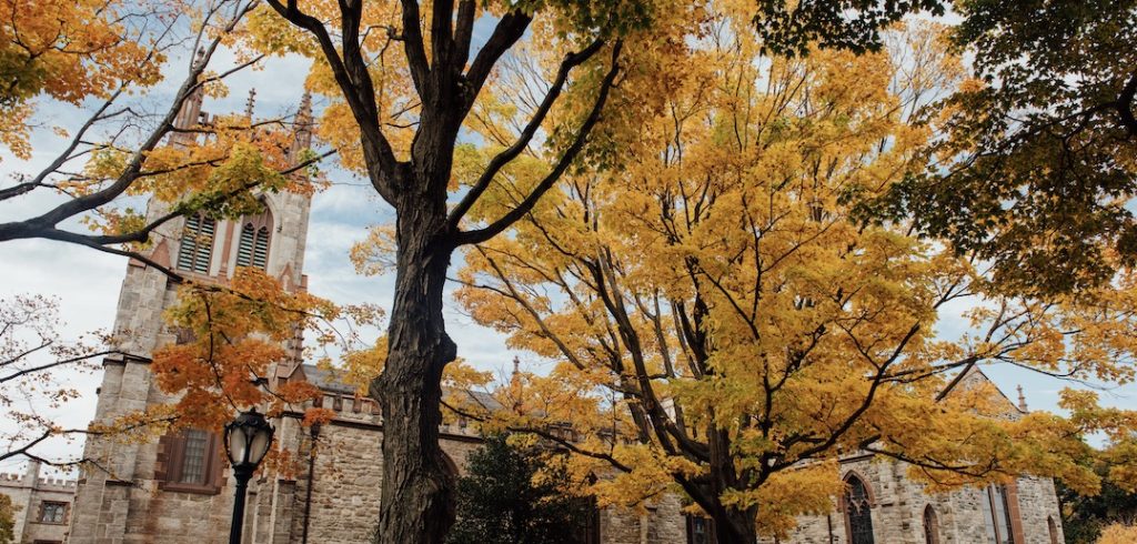 The University Church surrounded by trees with autumn yellow leaves