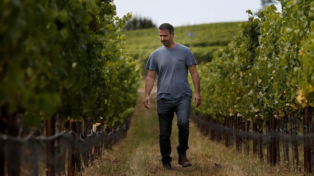 Winemaker Jamie Kutch strolls through a Sonoma County vineyard.